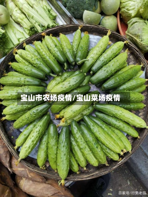 宝山市农场疫情/宝山菜场疫情-第1张图片