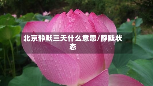 北京静默三天什么意思/静默状态-第2张图片