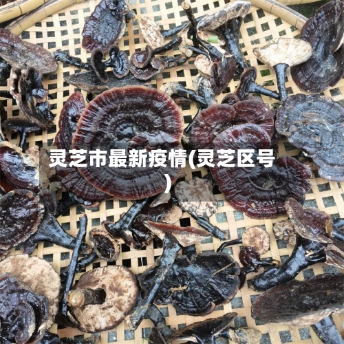 灵芝市最新疫情(灵芝区号)-第1张图片