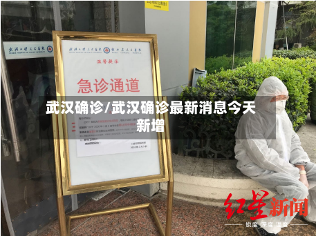 武汉确诊/武汉确诊最新消息今天新增-第1张图片