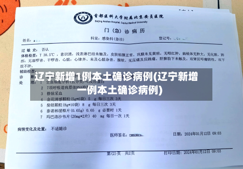 辽宁新增1例本土确诊病例(辽宁新增一例本土确诊病例)-第1张图片