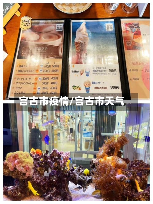 宫古市疫情/宫古市天气-第3张图片