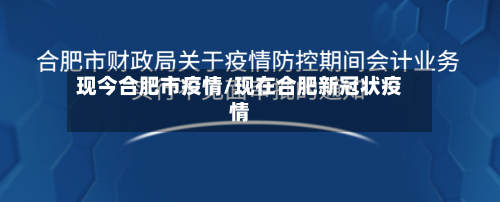 现今合肥市疫情/现在合肥新冠状疫情-第3张图片