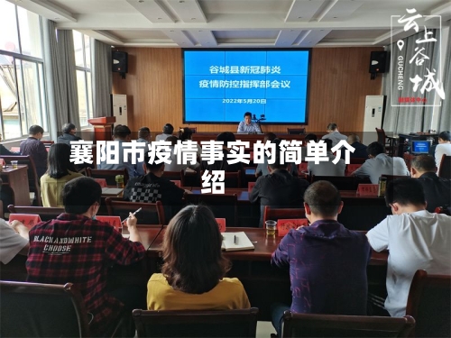 襄阳市疫情事实的简单介绍-第2张图片