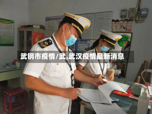 武钢市疫情/武,武汉疫情最新消息-第1张图片