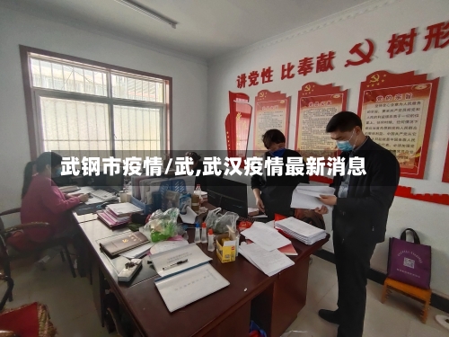 武钢市疫情/武,武汉疫情最新消息-第2张图片