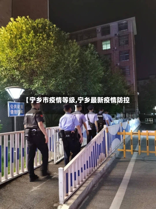 【宁乡市疫情等级,宁乡最新疫情防控】-第2张图片