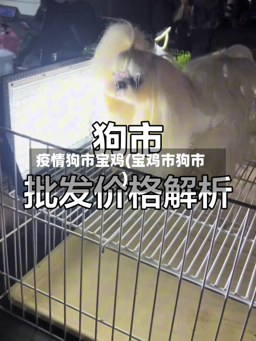 疫情狗市宝鸡(宝鸡市狗市)-第1张图片