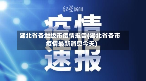 湖北省各地级市疫情报告(湖北省各市疫情最新消息今天)-第2张图片