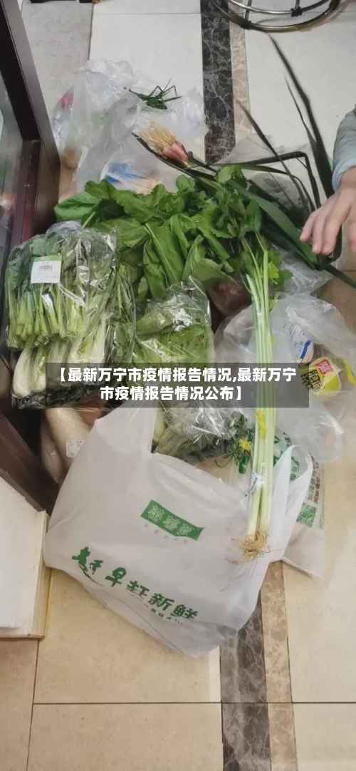 【最新万宁市疫情报告情况,最新万宁市疫情报告情况公布】-第1张图片