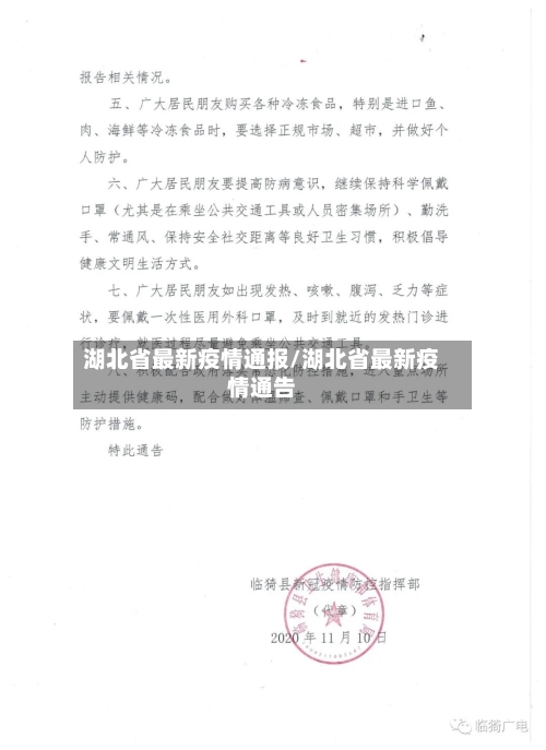 湖北省最新疫情通报/湖北省最新疫情通告-第2张图片