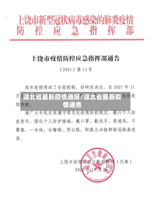 湖北省最新疫情通报/湖北省最新疫情通告-第1张图片