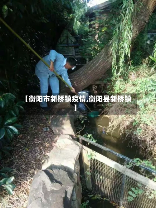 【衡阳市新桥镇疫情,衡阳县新桥镇】-第3张图片
