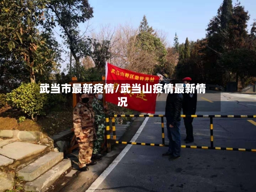 武当市最新疫情/武当山疫情最新情况-第2张图片