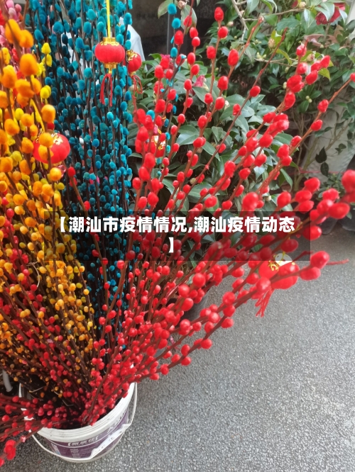 【潮汕市疫情情况,潮汕疫情动态】-第1张图片