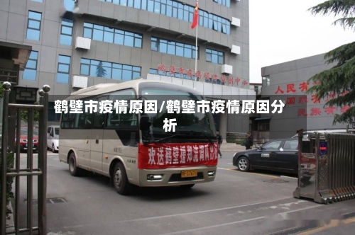 鹤壁市疫情原因/鹤壁市疫情原因分析-第3张图片