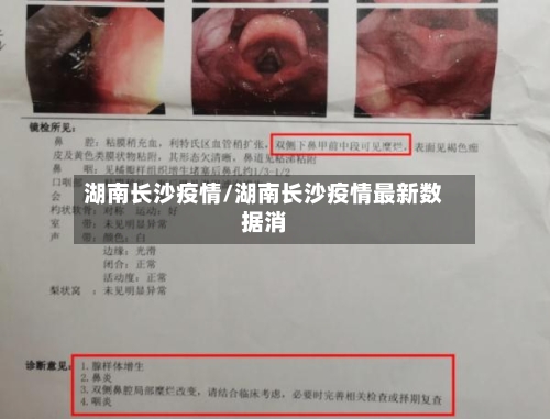 湖南长沙疫情/湖南长沙疫情最新数据消-第2张图片