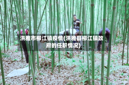 洪雅市柳江镇疫情(洪雅县柳江镇政府的任职情况)-第2张图片