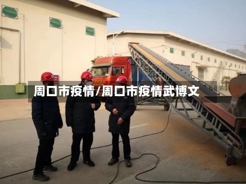 周口市疫情/周口市疫情武博文-第1张图片