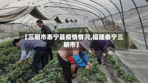 【三明市泰宁县疫情情况,福建泰宁三明市】-第1张图片