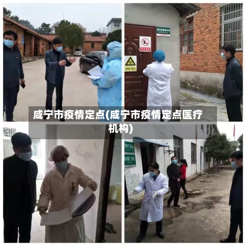咸宁市疫情定点(咸宁市疫情定点医疗机构)-第1张图片