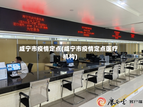 咸宁市疫情定点(咸宁市疫情定点医疗机构)-第2张图片