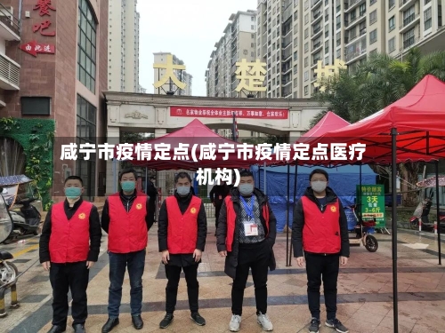 咸宁市疫情定点(咸宁市疫情定点医疗机构)-第3张图片
