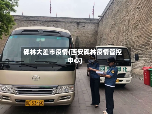 碑林大差市疫情(西安碑林疫情管控中心)-第3张图片