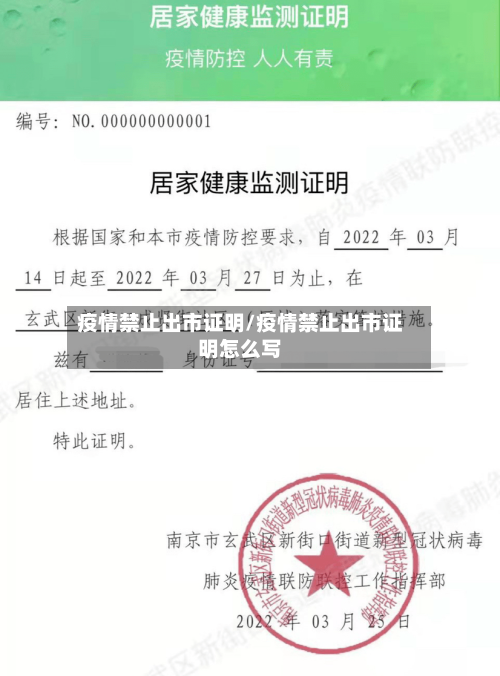 疫情禁止出市证明/疫情禁止出市证明怎么写-第3张图片