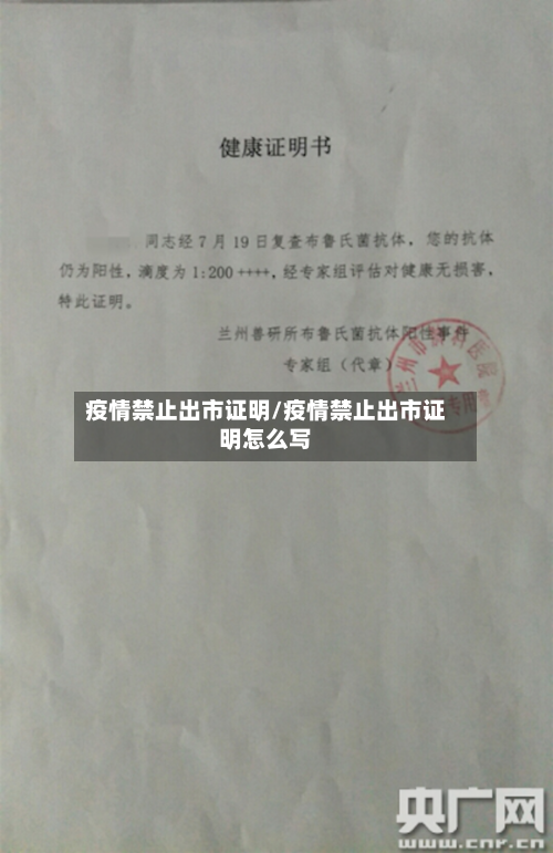 疫情禁止出市证明/疫情禁止出市证明怎么写-第2张图片