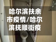 哈尔滨扶余市疫情/哈尔滨抚顺街疫情-第2张图片