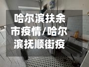 哈尔滨扶余市疫情/哈尔滨抚顺街疫情-第1张图片