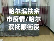 哈尔滨扶余市疫情/哈尔滨抚顺街疫情-第3张图片