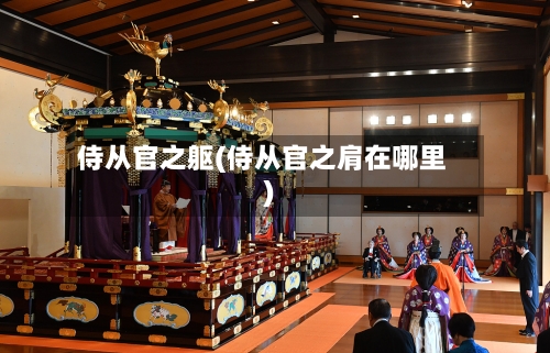 侍从官之躯(侍从官之肩在哪里)-第2张图片