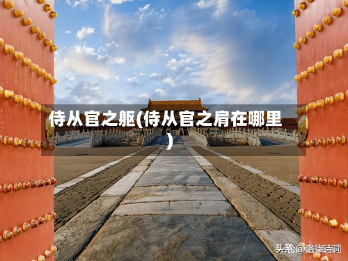 侍从官之躯(侍从官之肩在哪里)-第1张图片
