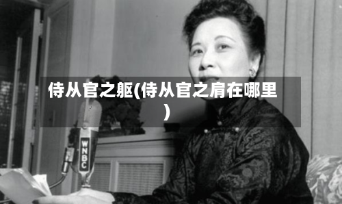 侍从官之躯(侍从官之肩在哪里)-第3张图片