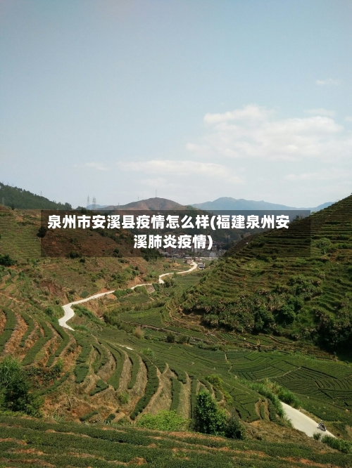 泉州市安溪县疫情怎么样(福建泉州安溪肺炎疫情)-第2张图片