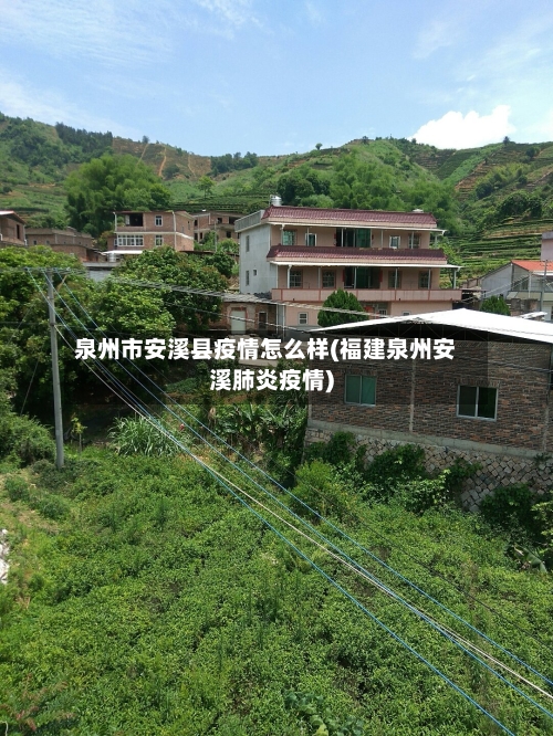 泉州市安溪县疫情怎么样(福建泉州安溪肺炎疫情)-第3张图片