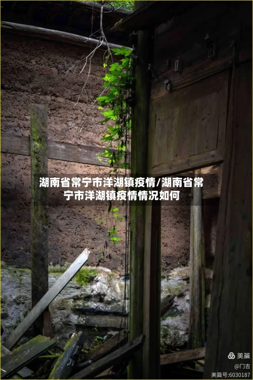 湖南省常宁市洋湖镇疫情/湖南省常宁市洋湖镇疫情情况如何-第1张图片