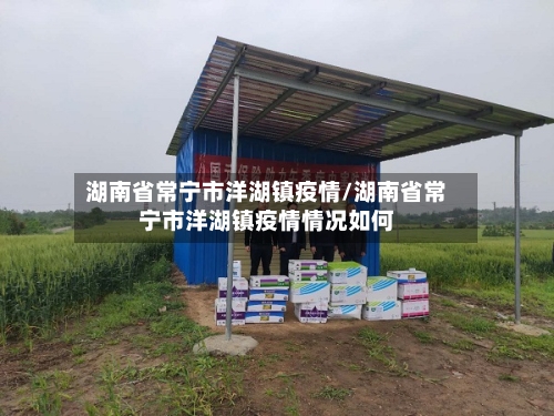湖南省常宁市洋湖镇疫情/湖南省常宁市洋湖镇疫情情况如何-第2张图片