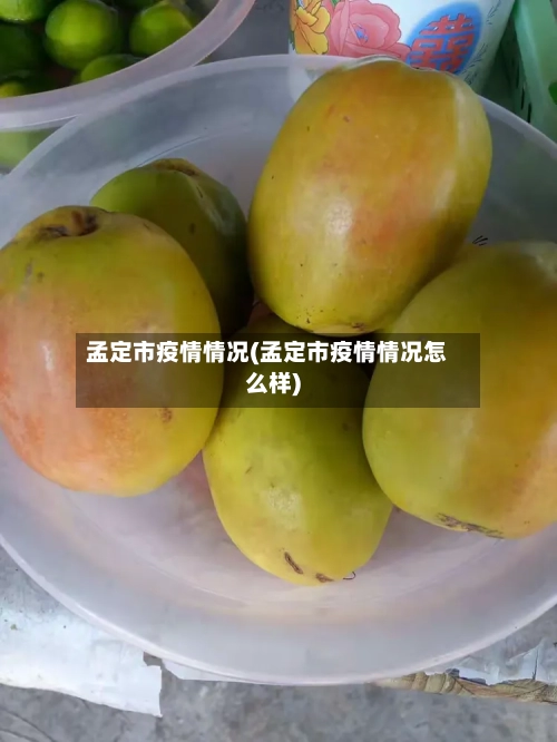 孟定市疫情情况(孟定市疫情情况怎么样)-第1张图片