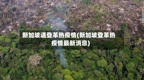 新加坡遇登革热疫情(新加坡登革热疫情最新消息)-第2张图片