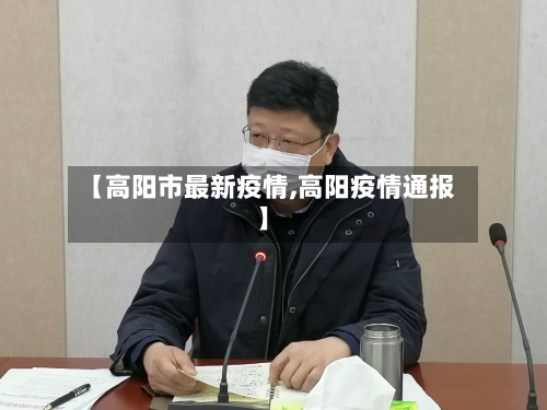 【高阳市最新疫情,高阳疫情通报】-第2张图片