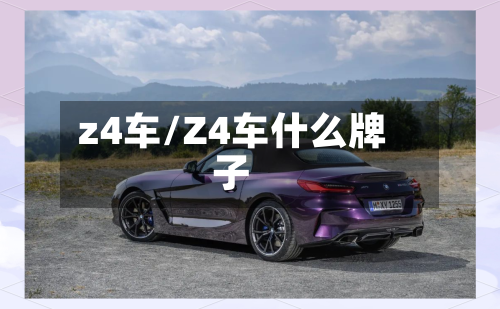 z4车/Z4车什么牌子-第1张图片