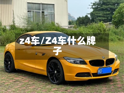 z4车/Z4车什么牌子-第2张图片
