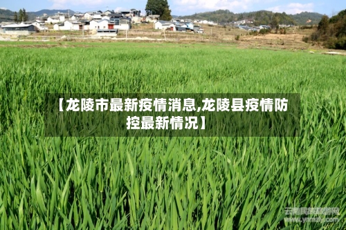 【龙陵市最新疫情消息,龙陵县疫情防控最新情况】-第1张图片
