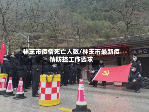 林芝市疫情死亡人数/林芝市最新疫情防控工作要求-第3张图片