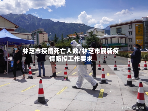林芝市疫情死亡人数/林芝市最新疫情防控工作要求-第2张图片