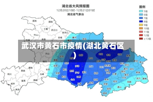 武汉市黄石市疫情(湖北黄石区)-第1张图片