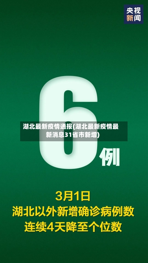 湖北最新疫情通报(湖北最新疫情最新消息31省市新增)-第3张图片